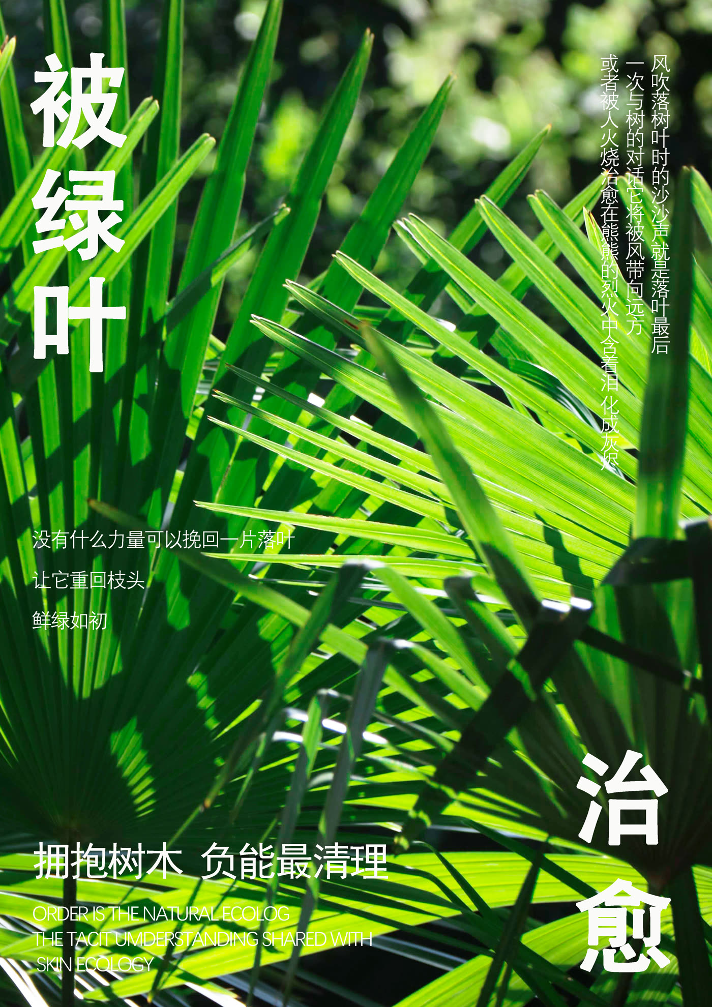 被绿叶治愈竹叶主题海报